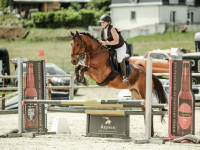 Vente de cheval : Grimace